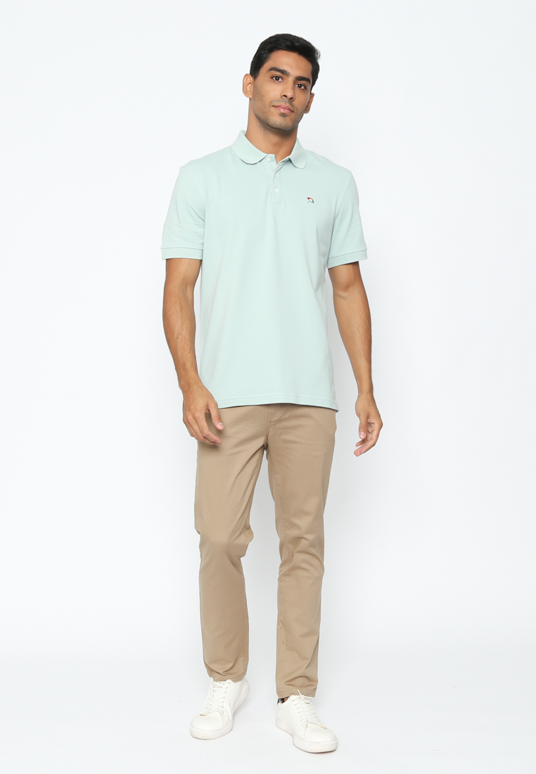 Men's Mint Green Polo Shirt Modern fit