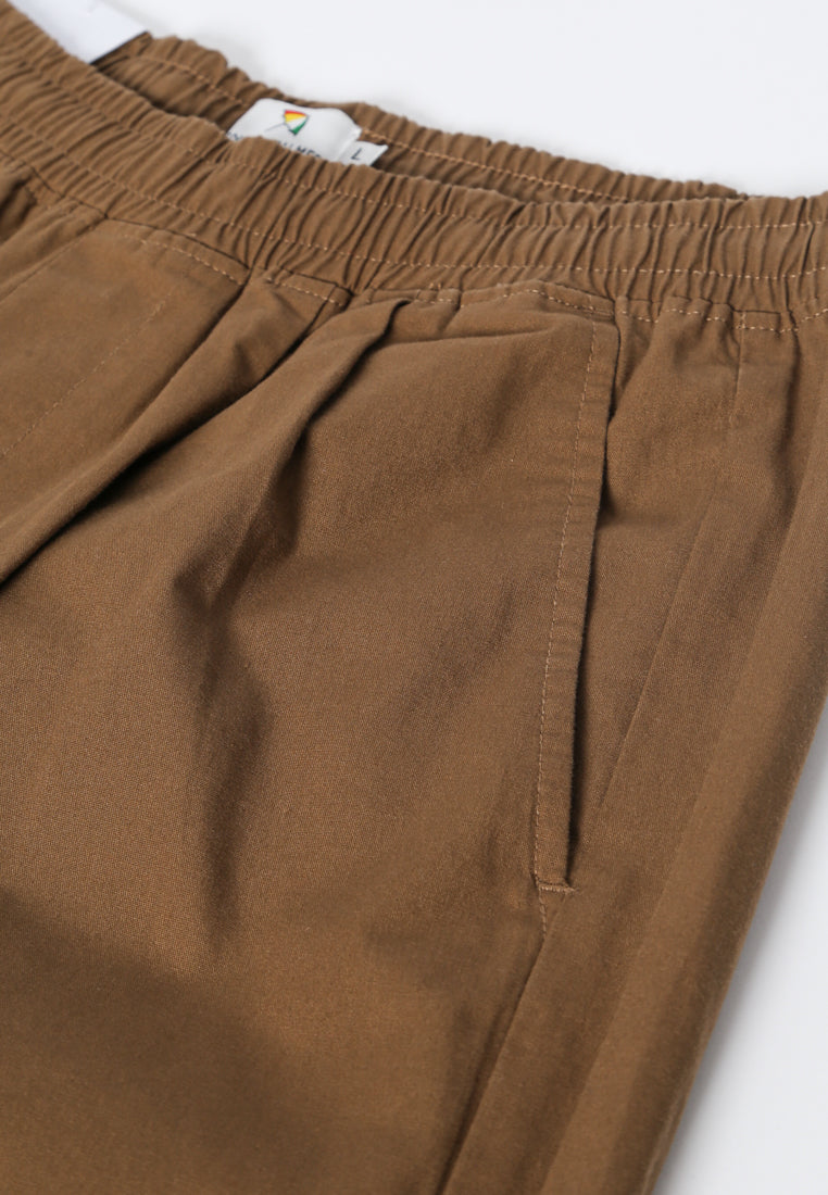 Brown Pleats Short Pants