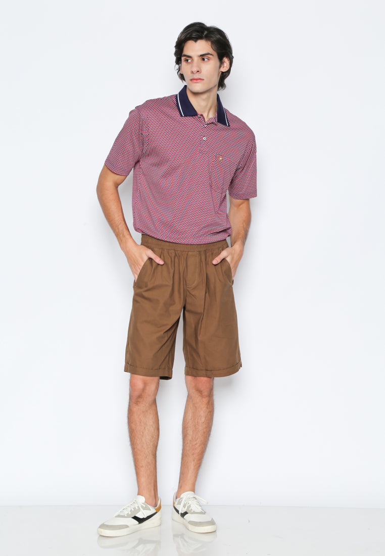 Brown Pleats Short Pants
